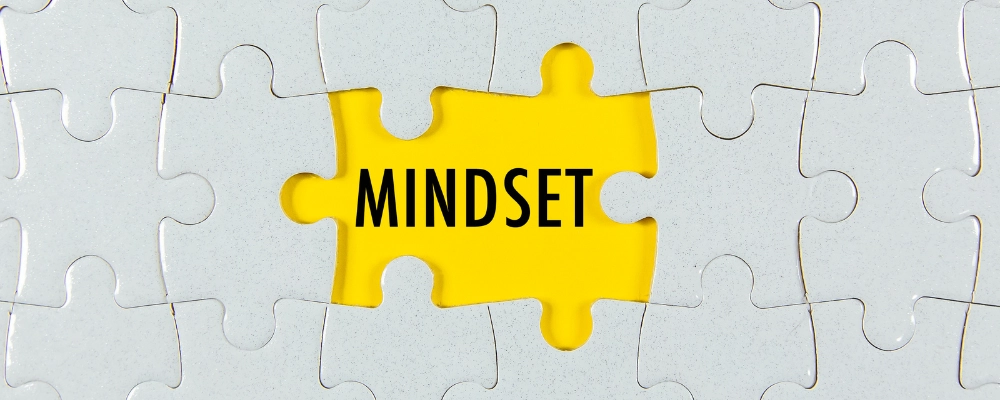 Memahami Perbedaan Mindset Sebelum Mengubah Proses