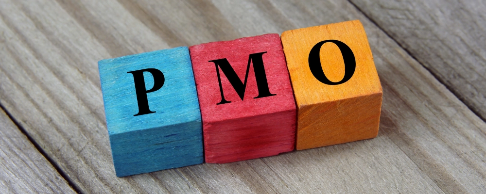Tahap Skalasi, Memperluas Cakupan PMO ke Seluruh Organisasi